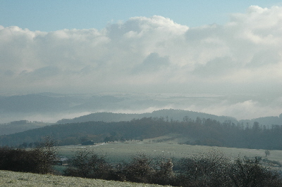 Natur 23.01.05 010