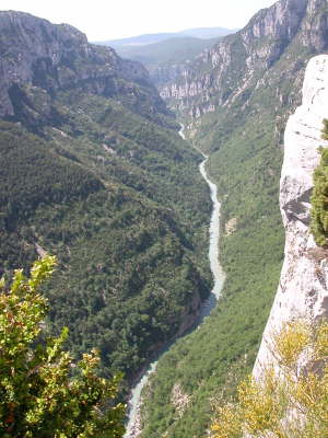 DSCN1184